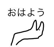 522815304