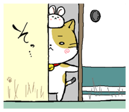 5228184