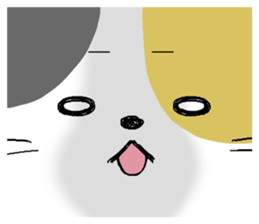 5228186
