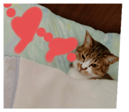 522827707
