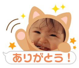 522827844