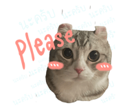 522836074