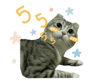 522836082