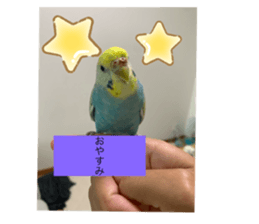 522839165