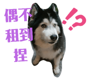 522841848