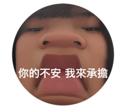 522846536