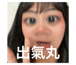 522846562
