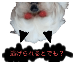 522861738