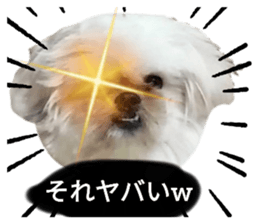 522861743