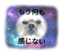 522861749