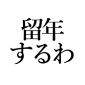 522864981