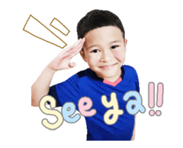 52288025