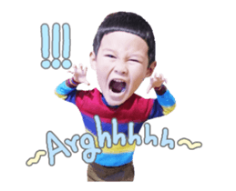 52288036