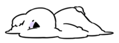 52288086