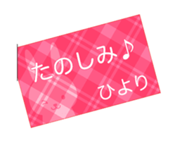 52290404