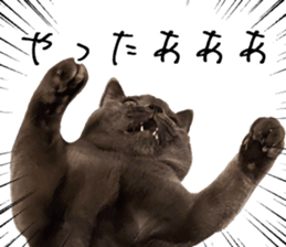 522912024