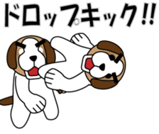 522947117