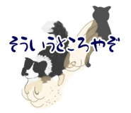 522959067