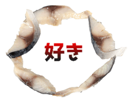 522962658