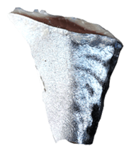 522962672
