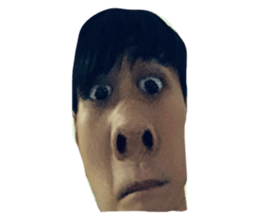 52296310