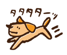 522977