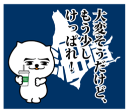522982300