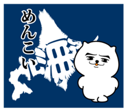 522982303