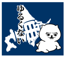 522982307