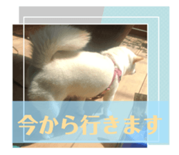 522987713