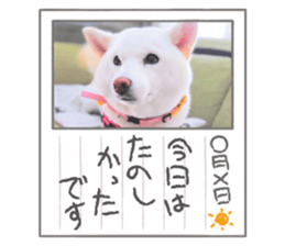 522987747