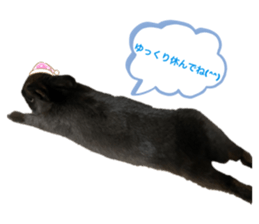 522988269