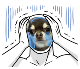 522989132
