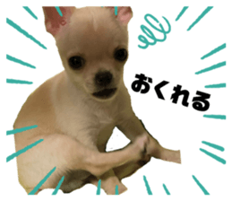 522994057