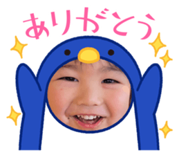 522996775