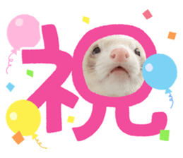 522998386