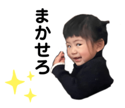 523017665