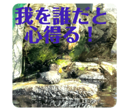 523035977