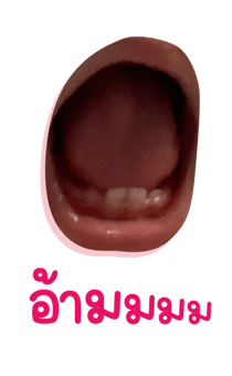 523048508