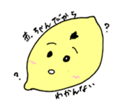 523053342