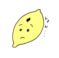 523053343