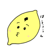 523053344