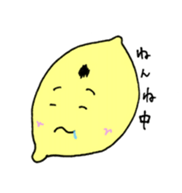 523053345