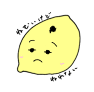 523053346