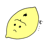 523053348