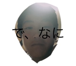 523056682