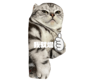 523059826