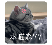 523059833