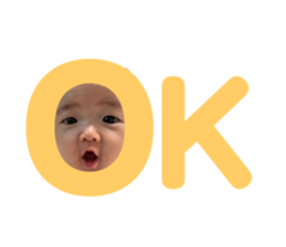 523060582