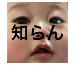 523066165